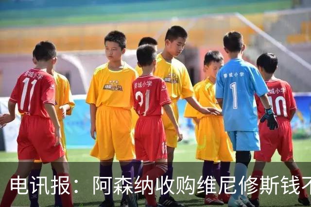 电讯报：阿森纳收购维尼修斯钱不是问题！枪手欲本周敲定吉马良斯