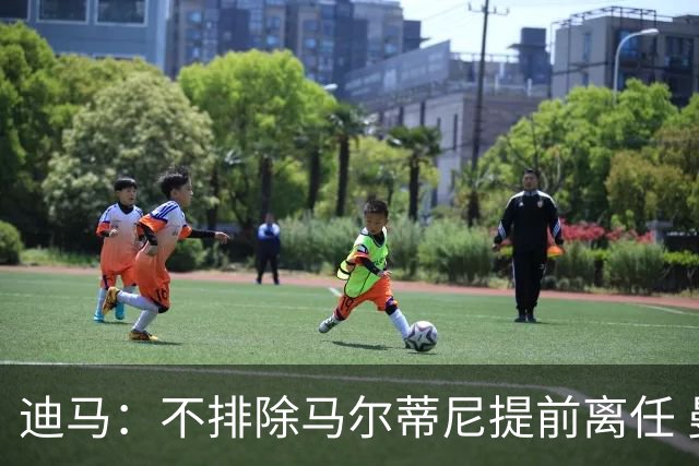迪马：不排除马尔蒂尼提前离任 曼奇尼或担任主帅 基耶利尼当总监